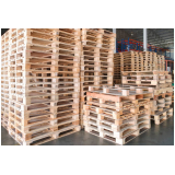 preço de paletes de madeira tratada Pinheirinho